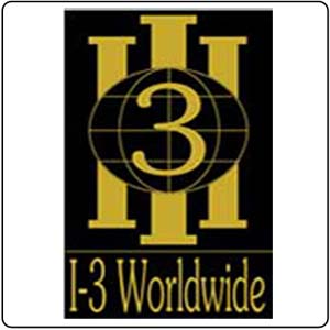 I-3 WORLDWIDE LOGO